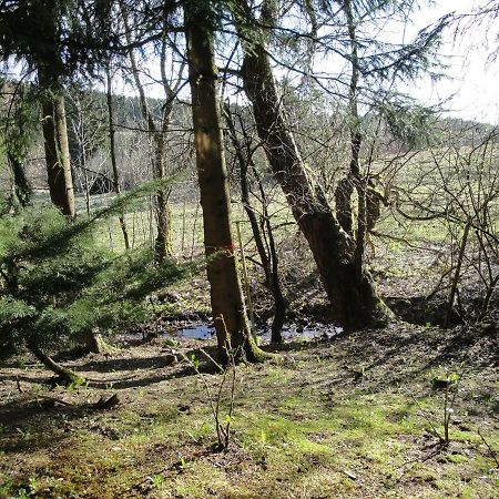 Ferienwohnung Wandervogel ブラウンラーゲ エクステリア 写真