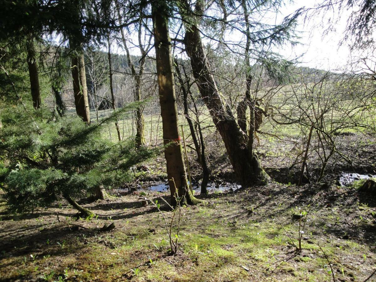 Ferienwohnung Wandervogel ブラウンラーゲ エクステリア 写真